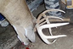Iowa rack