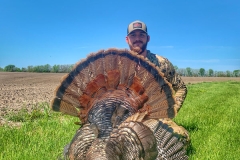 Biggest turkey