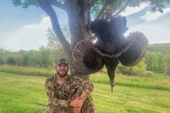 Hanging turkey