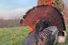 turkey 2