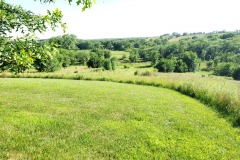 View from the Lodge