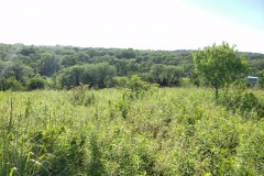 View from the Lodge 2